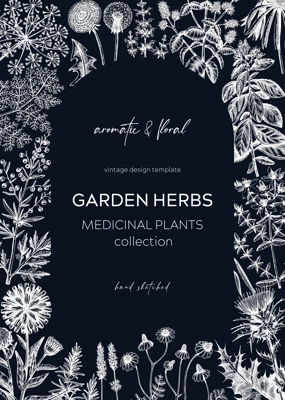 Vintage herbs card design on chalkboard. Aromatic plants frame. Herbal tea ingredients. Botanical design with hand drawn medicinal herbs for cosmetics or herbal medicine